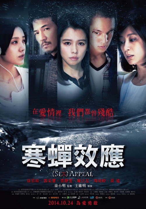 布兰戴斯大学市场开发文凭证书